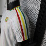 2026 Player Version Senegal National Team Special Edition Football Shirt - 图片 7
