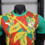 2024/2025 Player Version Senegal National Team Training Wear Football Shirt 1:1 Thai Quality - 图片 5