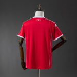 2026 Tunisia National Team Home Jersey - 图片 2
