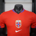 2025 Player Version Norway National Team Home Football Shirt 1:1 Thai Quality - 图片 2