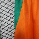 2026 Player Version Côte d'Ivoire Football Shorts 1:1 Thai Quality - 图片 6